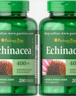ECHINACEA IMMUNE SYSTEM COLD INFLAMMATION SUPPORT 400mg 400Caps PURITAN'S PRIDE