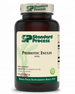 Standard Process - Prebiotic Inulin - 9 oz. (255 g) 1-17 RO